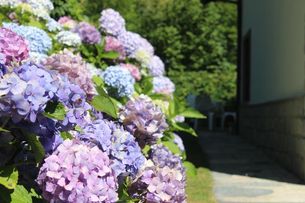 Villa Egle Antronapiana Bagian luar foto
