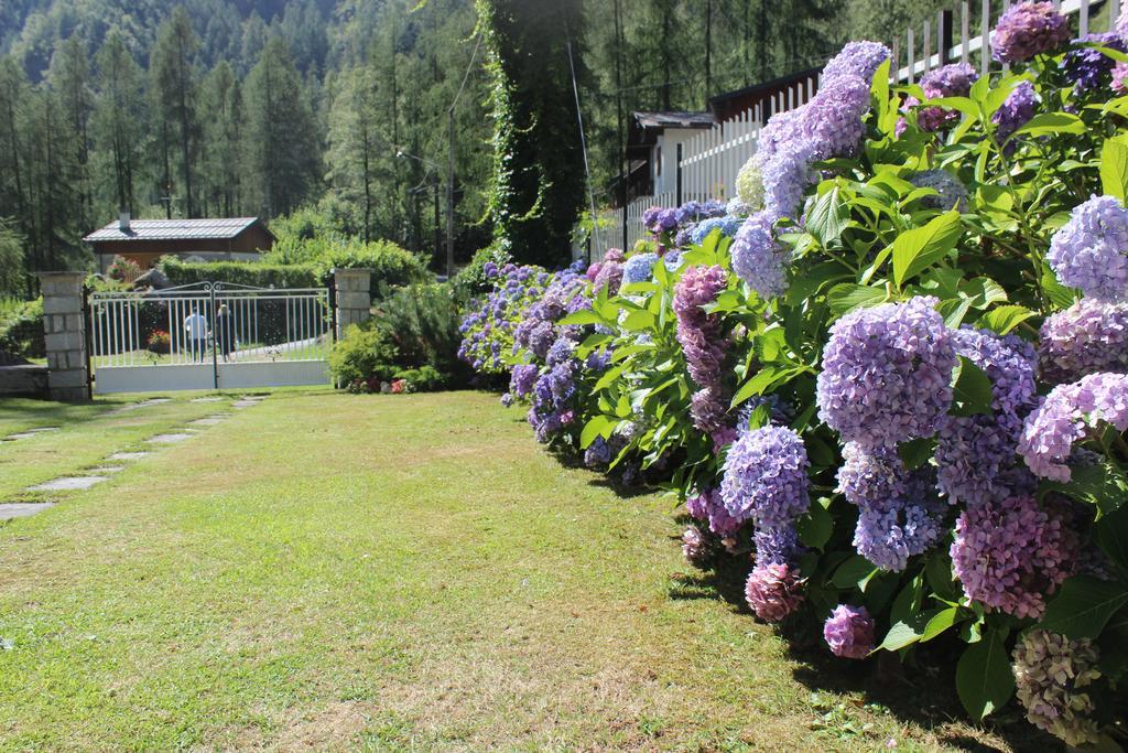 Villa Egle Antronapiana Bagian luar foto
